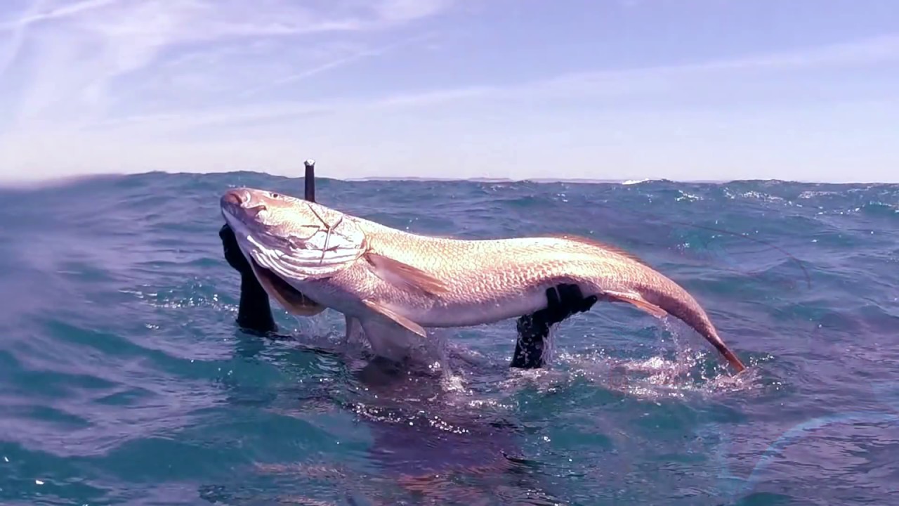 Pesca Selecta vol1 con Jesús Jiménez Reyes