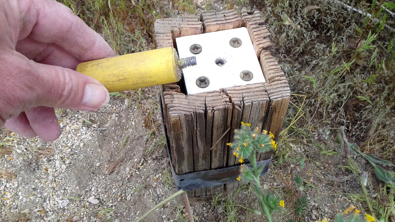 Geocaching Extreme Finds: RoombaCats, Part II
