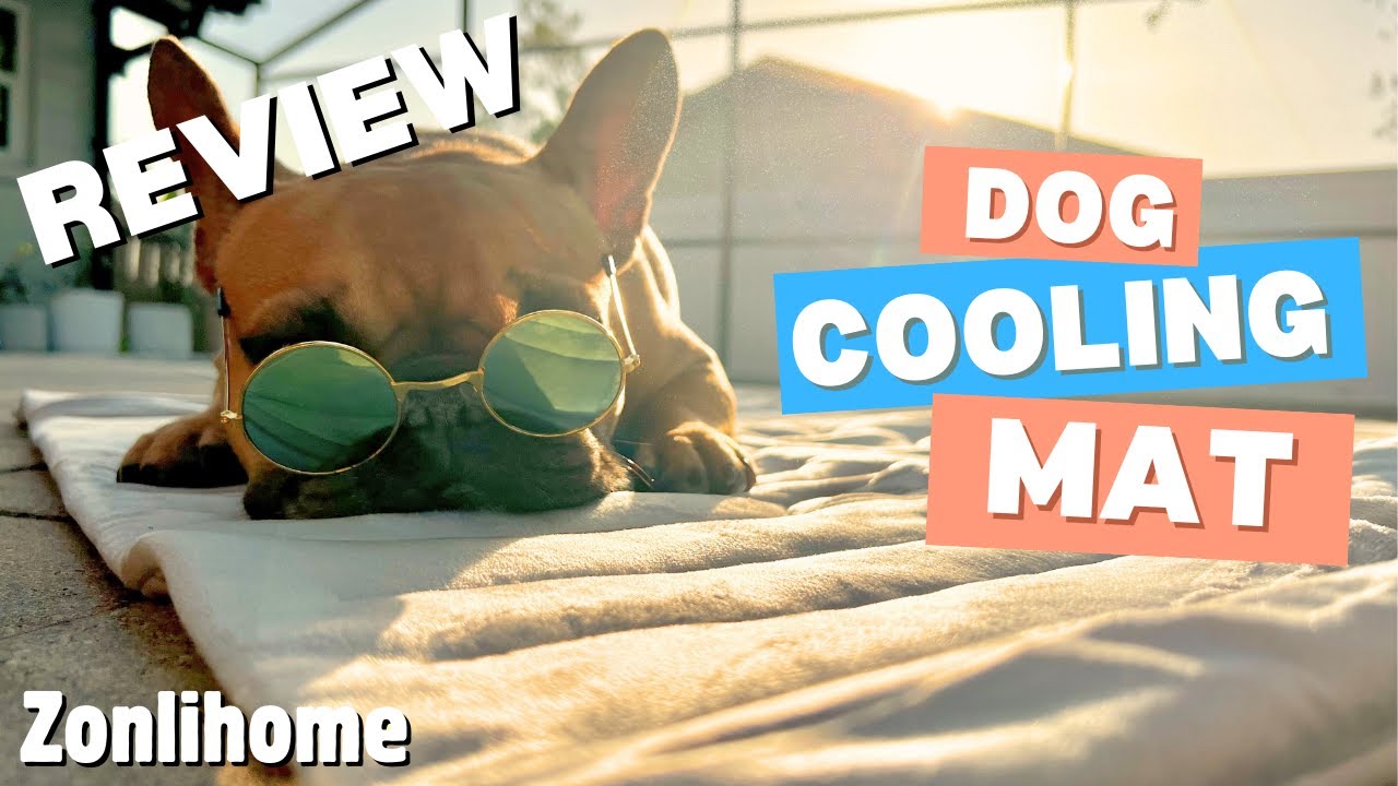 Dog cooling Mat from Zonlihome