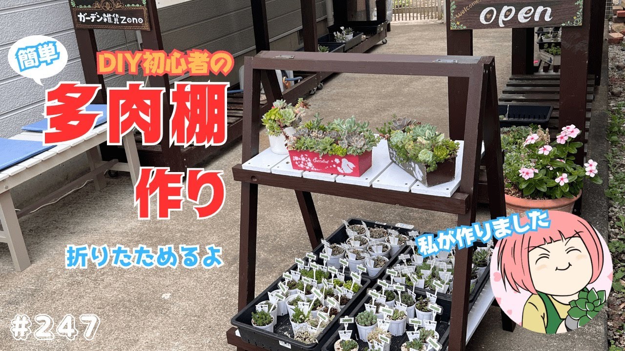 247【多肉植物】簡単DIY初心者の多肉棚作り🔰折り畳みで大容量！解説付き