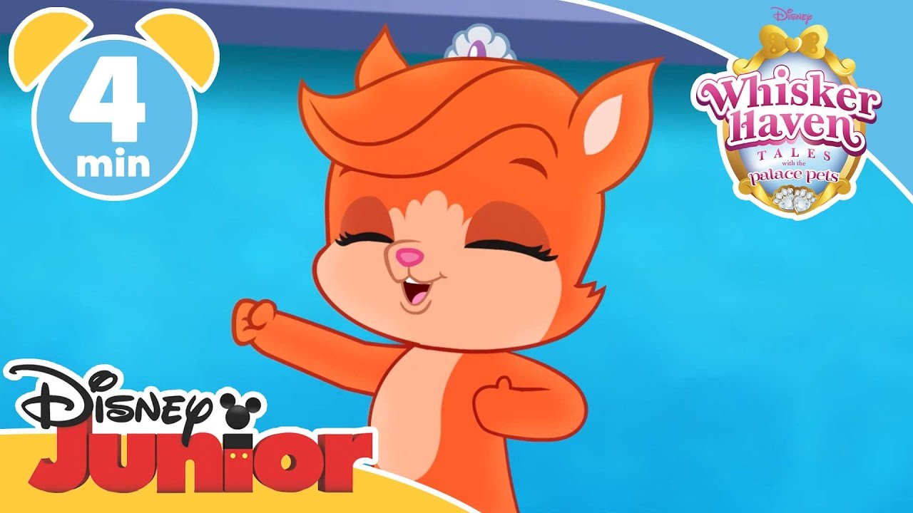 Whisker Haven Tales | Treasure's Island | @disneykids