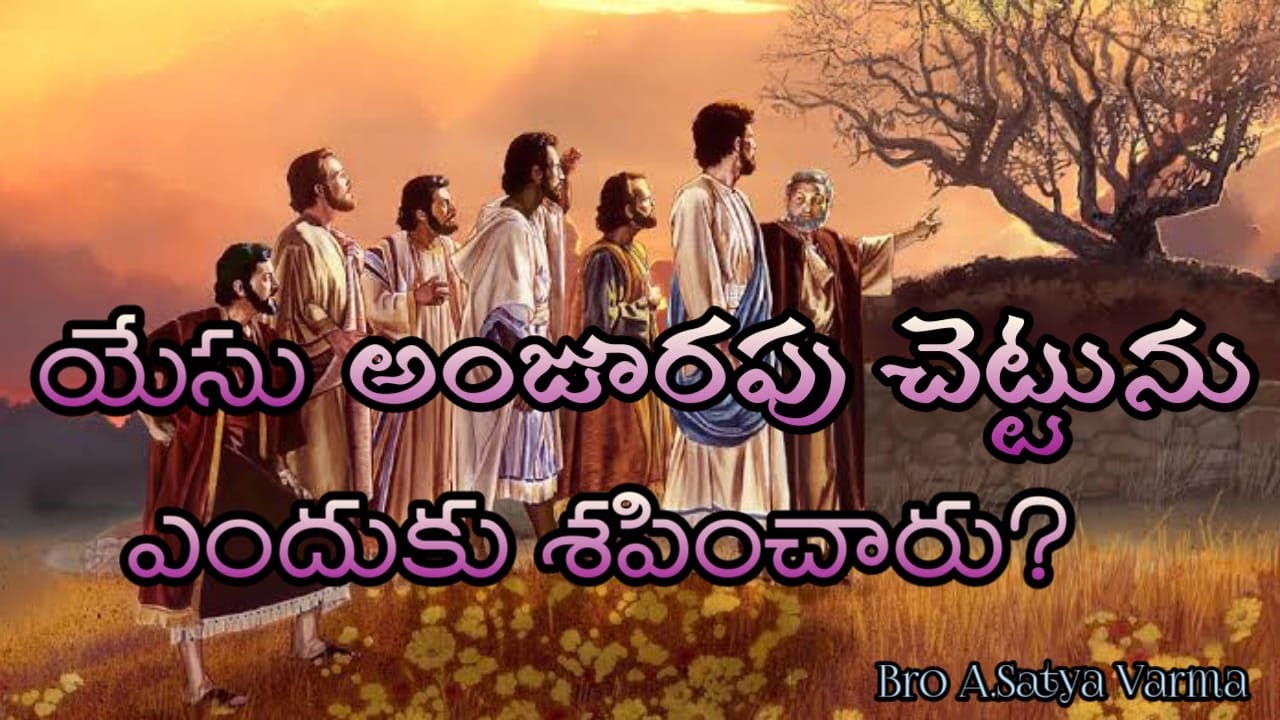 యేసు అంజూరపు చెట్టును యెందుకు శపించారు ?/తెలుగు /Why did Jesus curse the Fig Tree ?/Telugu /