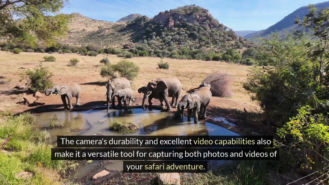 Safari Photography Tips - The Best Cameras for Wildlife Photography | Sony Alpha 1 & Canon EOS R5
