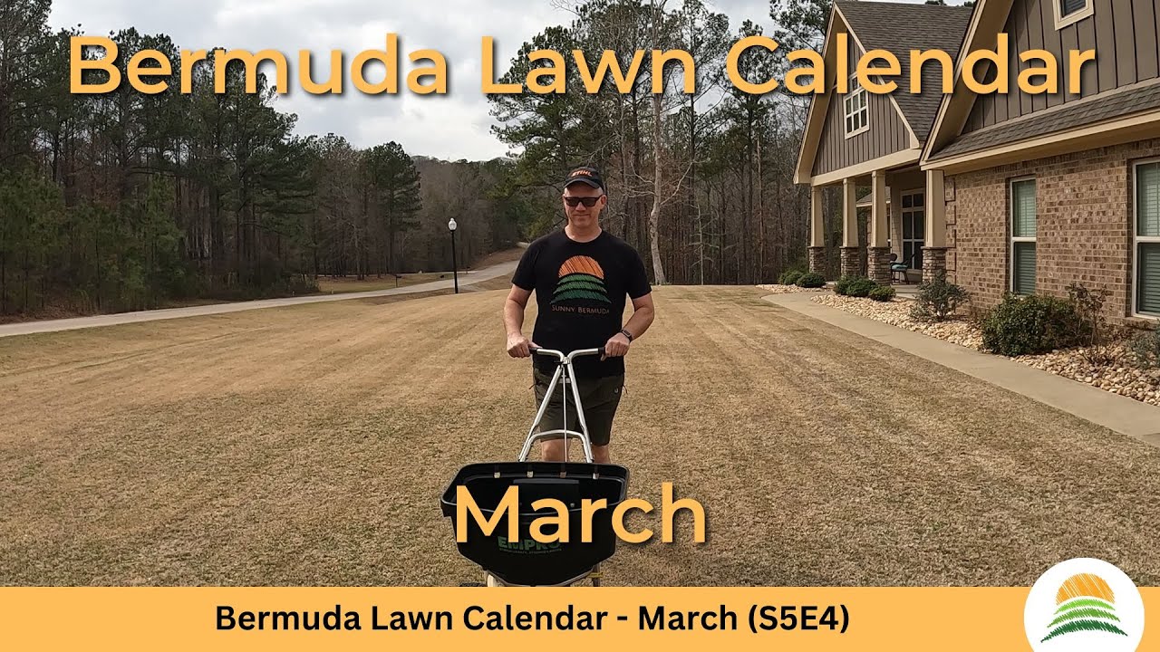 Bermuda Lawn Calendar - March ☀️ (S5E4)