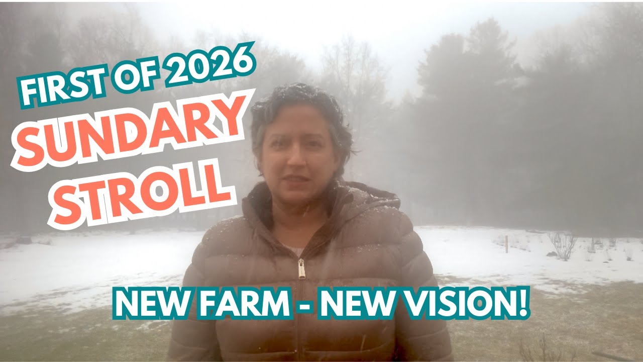 Sunday Stroll 01.11.26 - New Farm, New Vision!