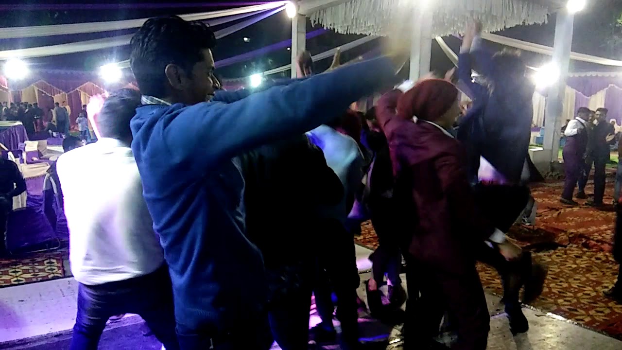 Beyhadi anpad hari || wedding video|| gujjar's wedding || royal wedding ||