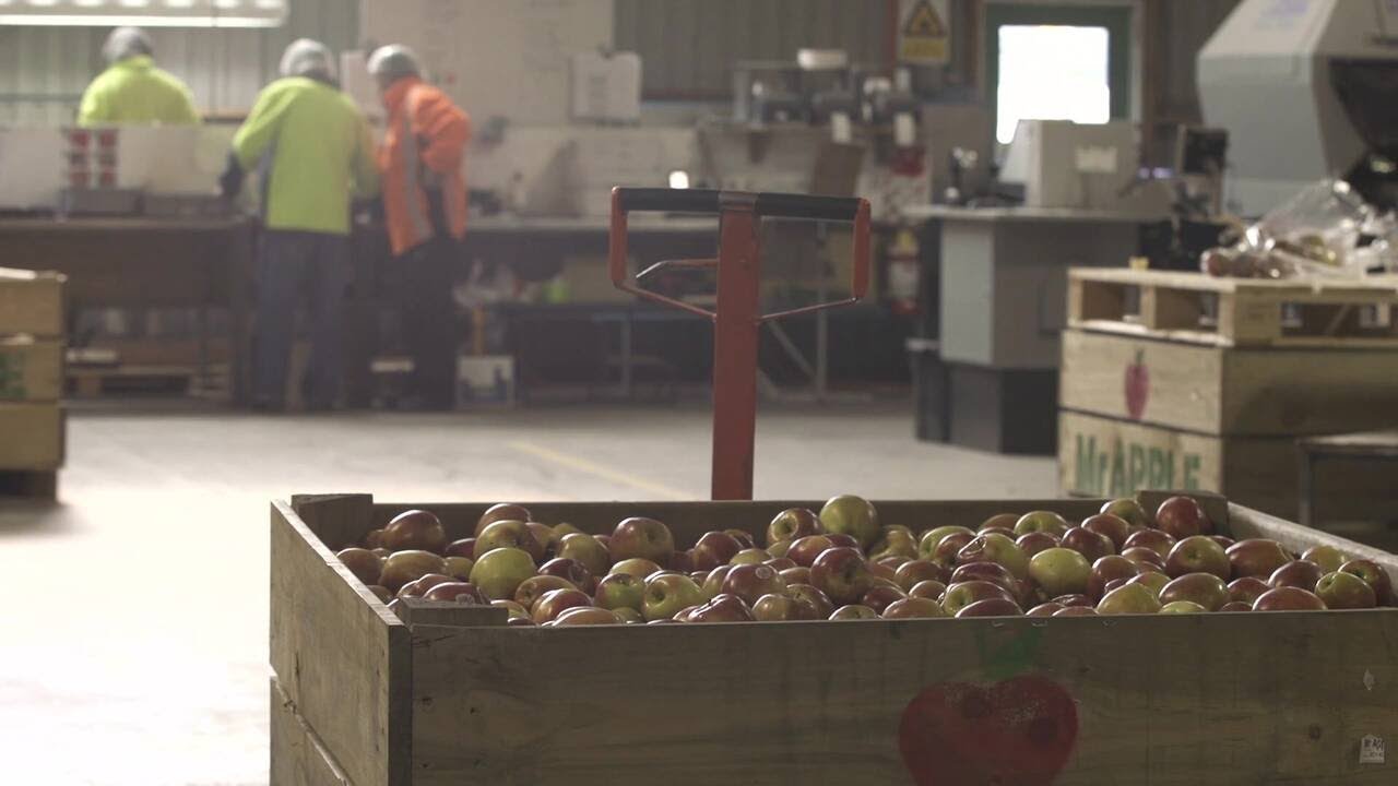 Customer Story - Mr Apple - Integrated Apple Solution