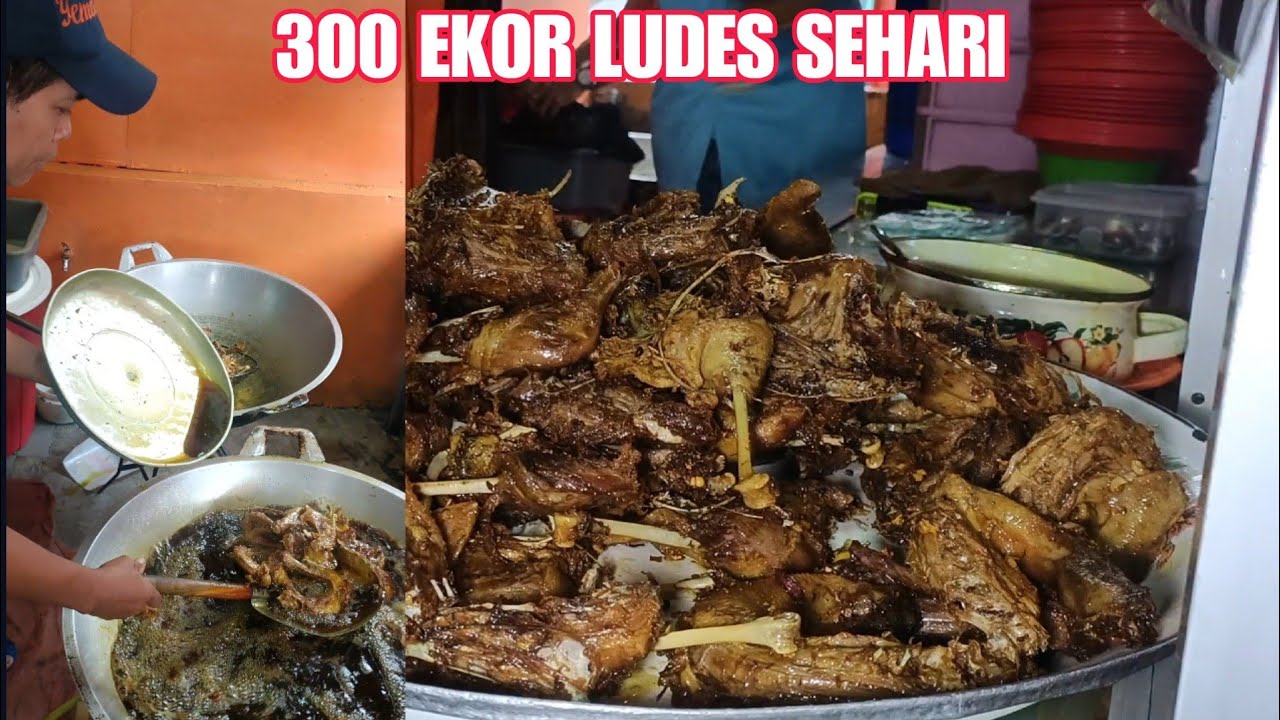 BEBEK TERLARIS DI BALI