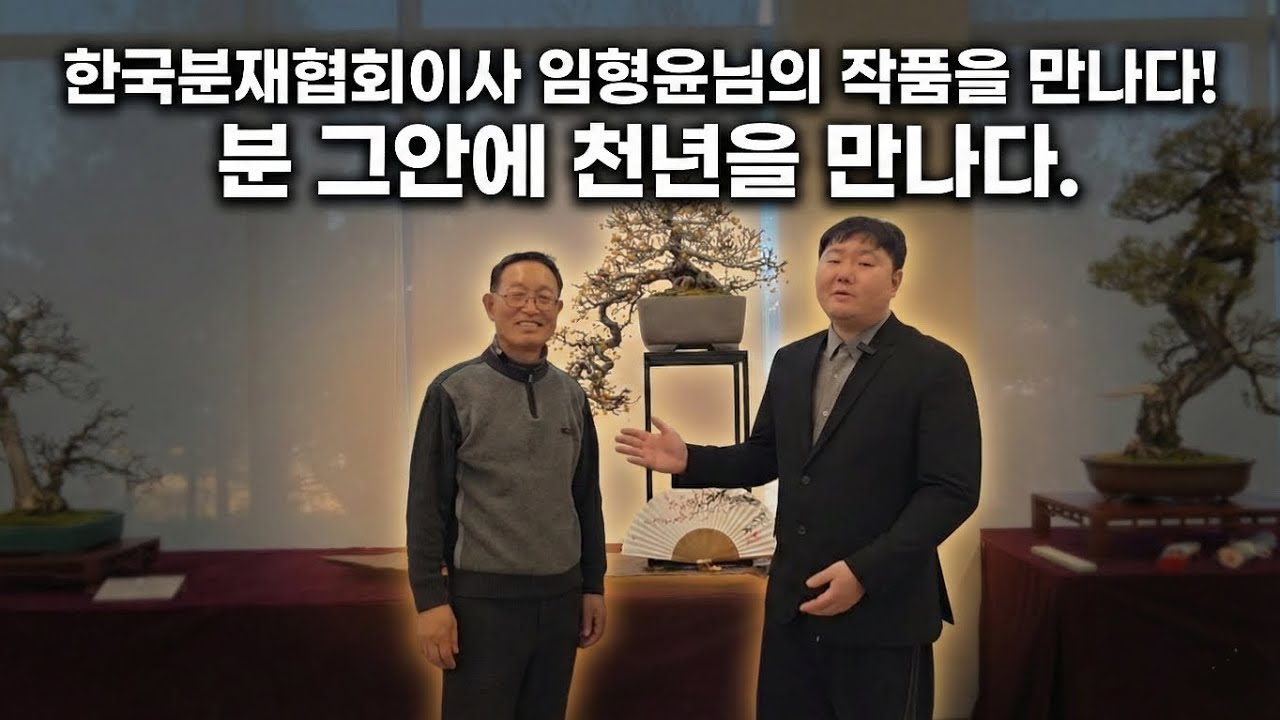 임형윤작가님의 작품을 만나다! [분 그안에 천년을 심다] #분재 #분재전시회 #bonsai 