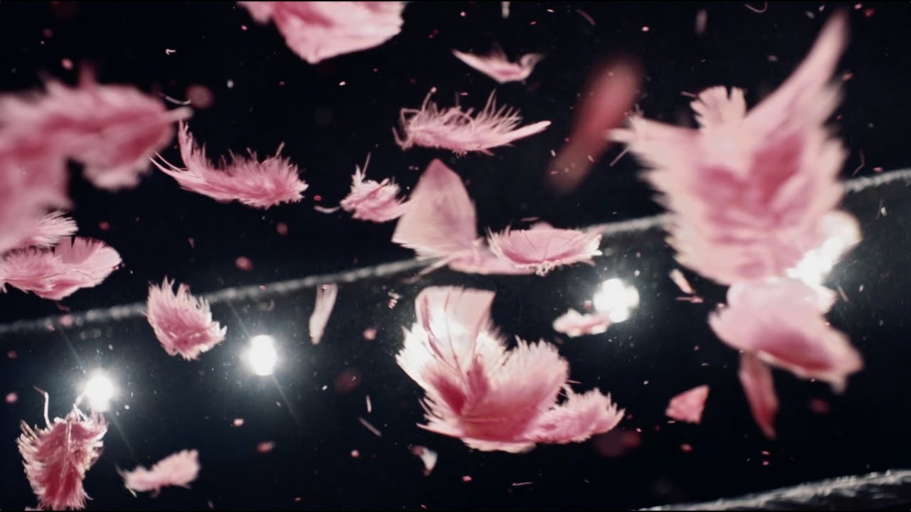 Kat Frankie - Bad Behaviour (official video)