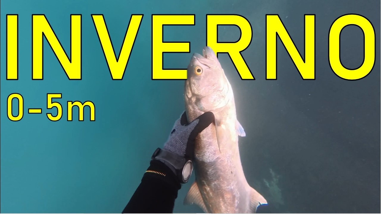 ASPETTO A SPIGOLE E SERRA - Pesca Sub Puglia