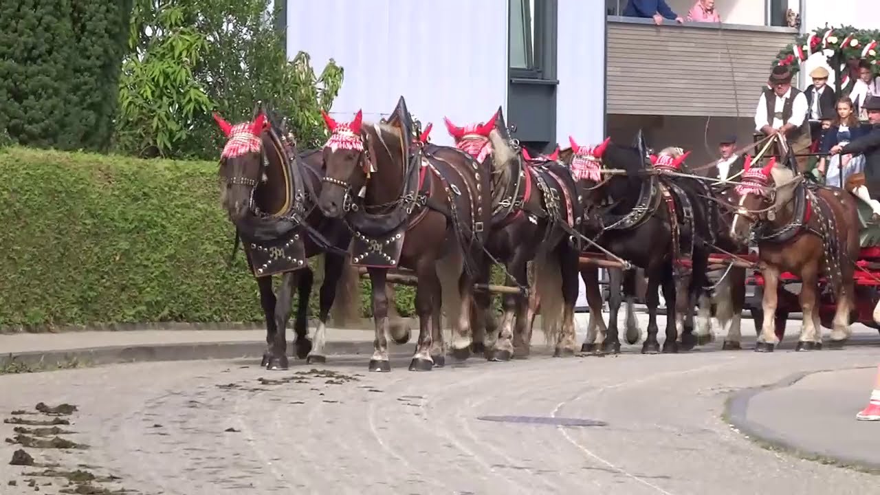 Fuhrmannstag Bad Schussenried 03.10.2025