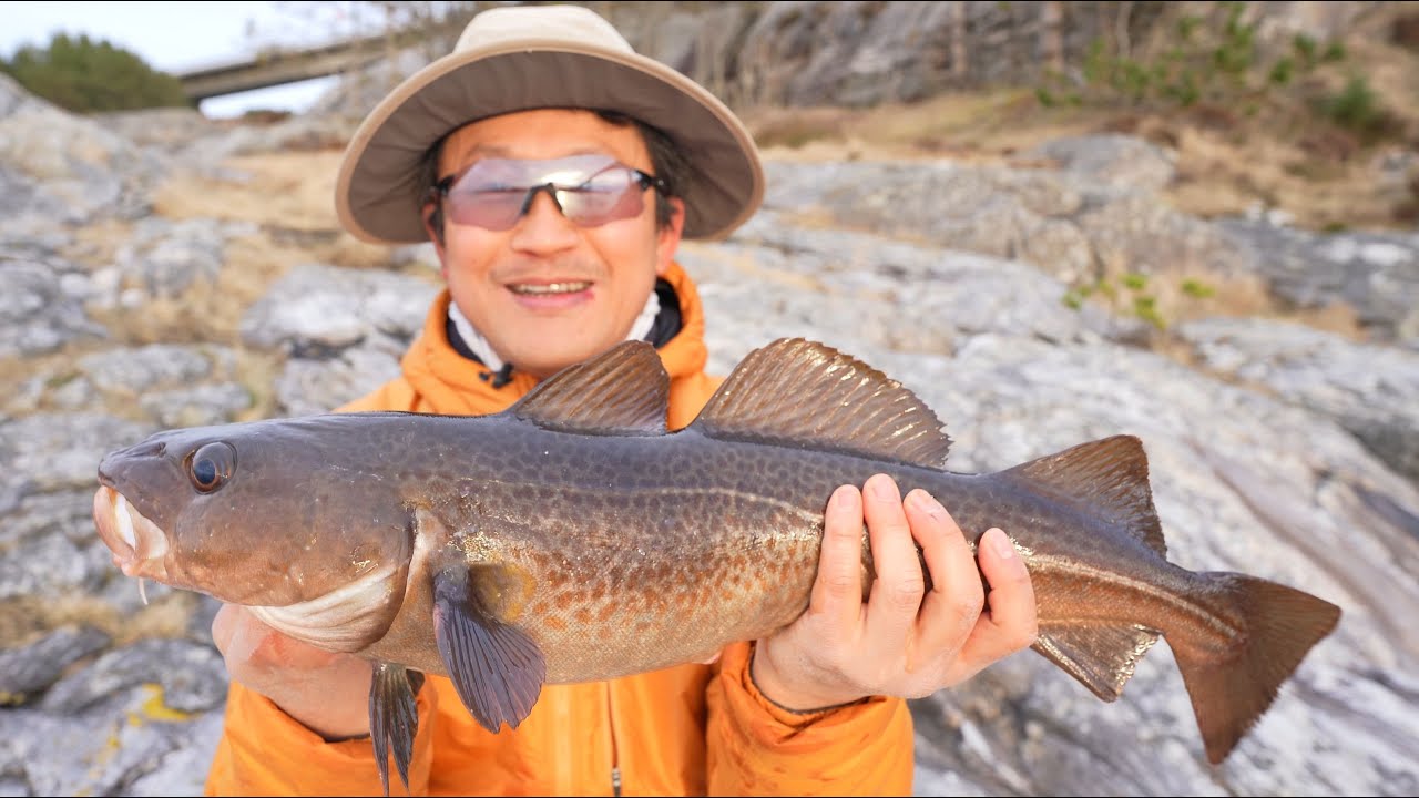 (노르웨이 베르겐) 라면 끓여 먹으면서 대구 명태 낚시, 돌김 채취, 도토리묵 Fishing in Sotra Bergen Norway, closed wave power plant