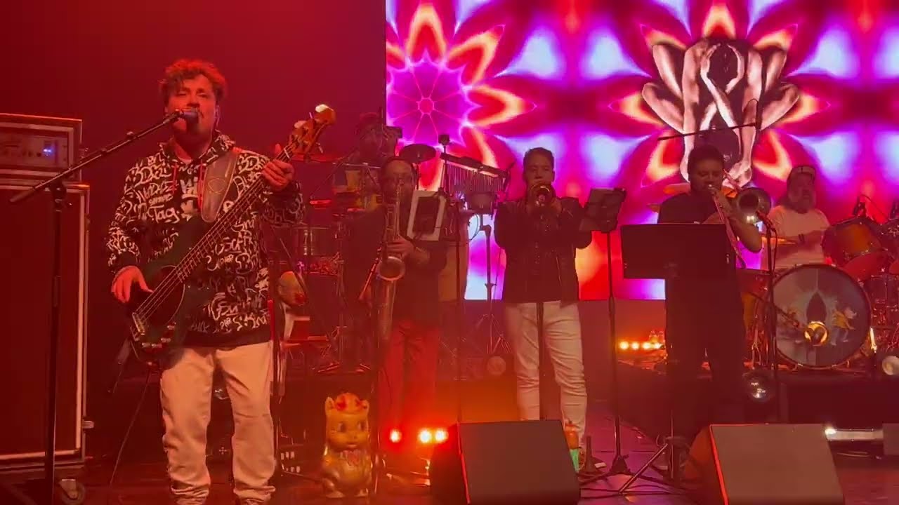 CHANCHO EN PIEDRA - 