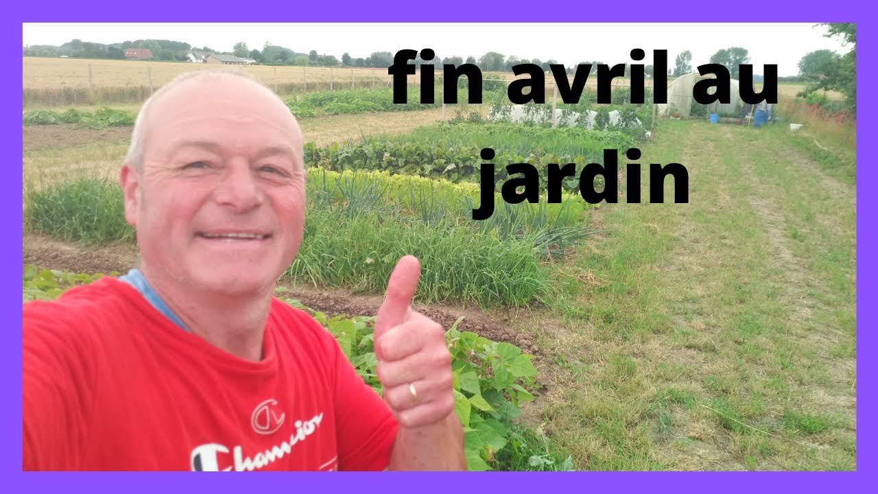 fin avril au jardin comment semer les haricots verts ( comme fàîsaient nos grands pères