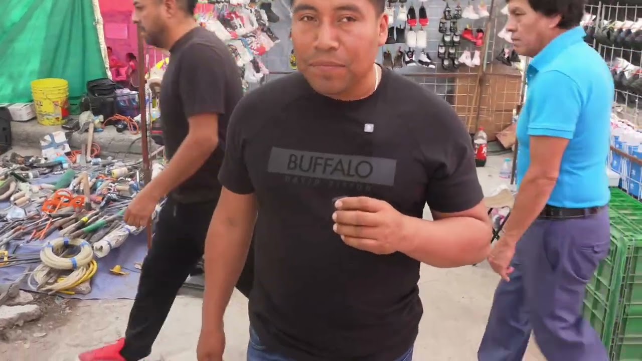 VISITANDO TIANGUIS EL MOLINITO NAUCALPAN
