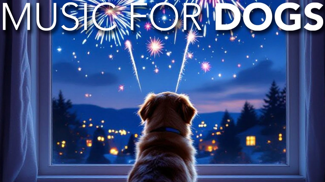 NEW YEARS EVE Fireworks Anti Anxiety Festive Music for Dogs: 10 Hours of Calming Tunes