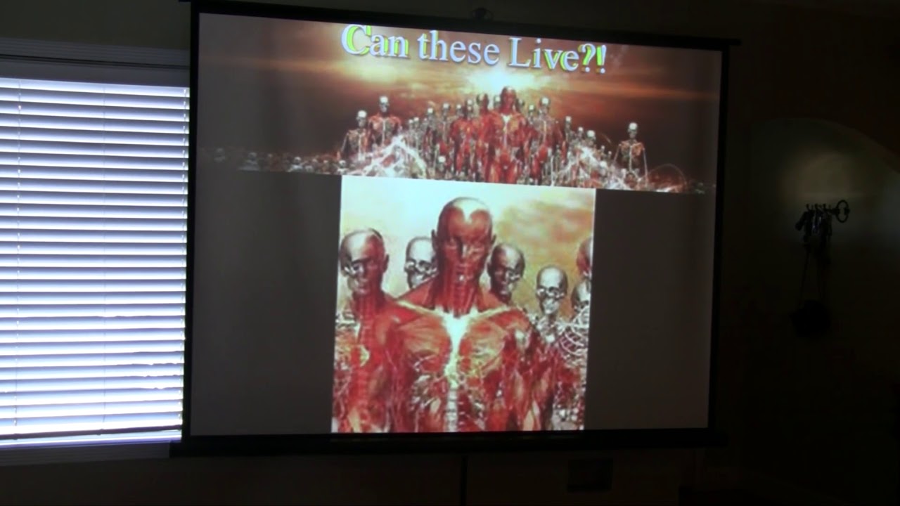 Remnant of Truth - Dead Bones Rise