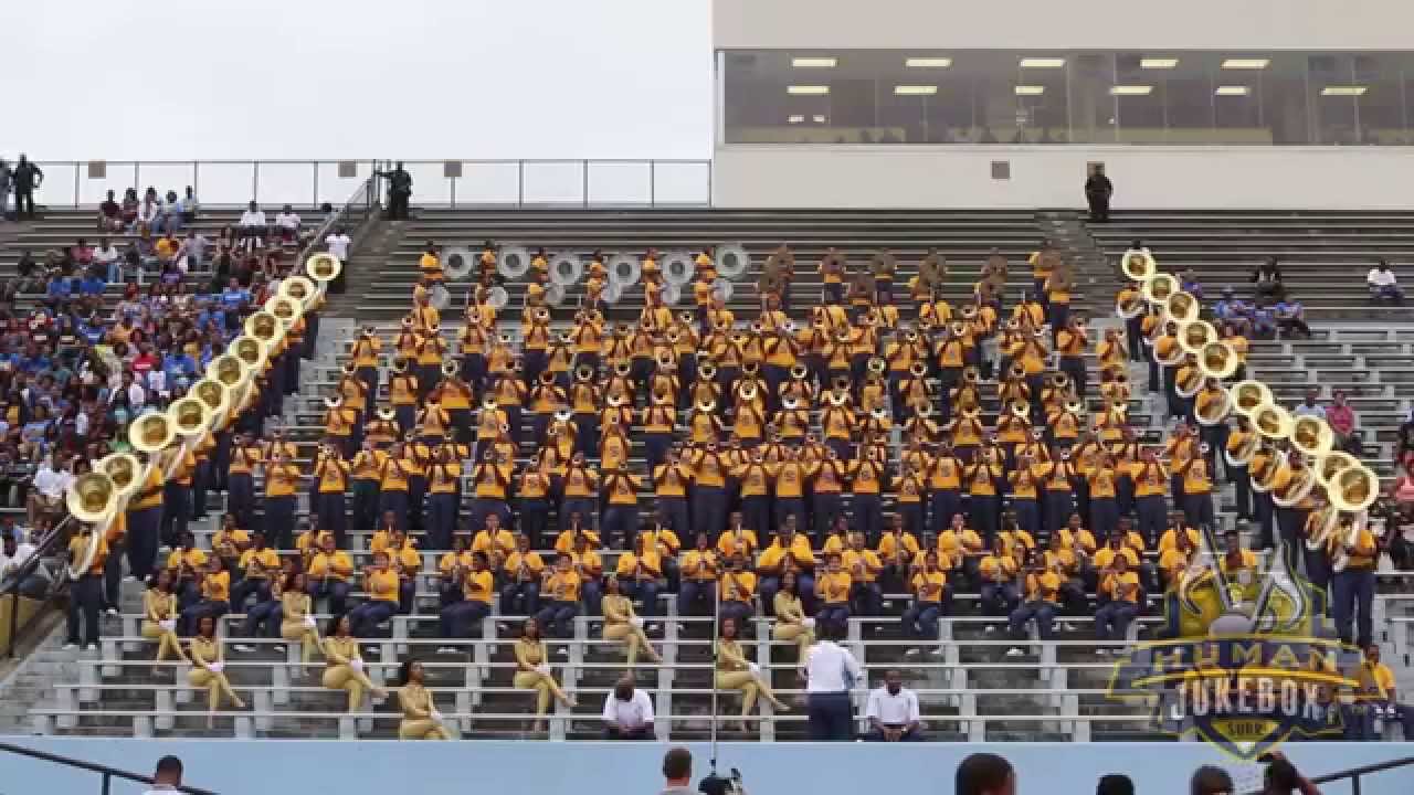 Southern University Human Jukebox 2014 