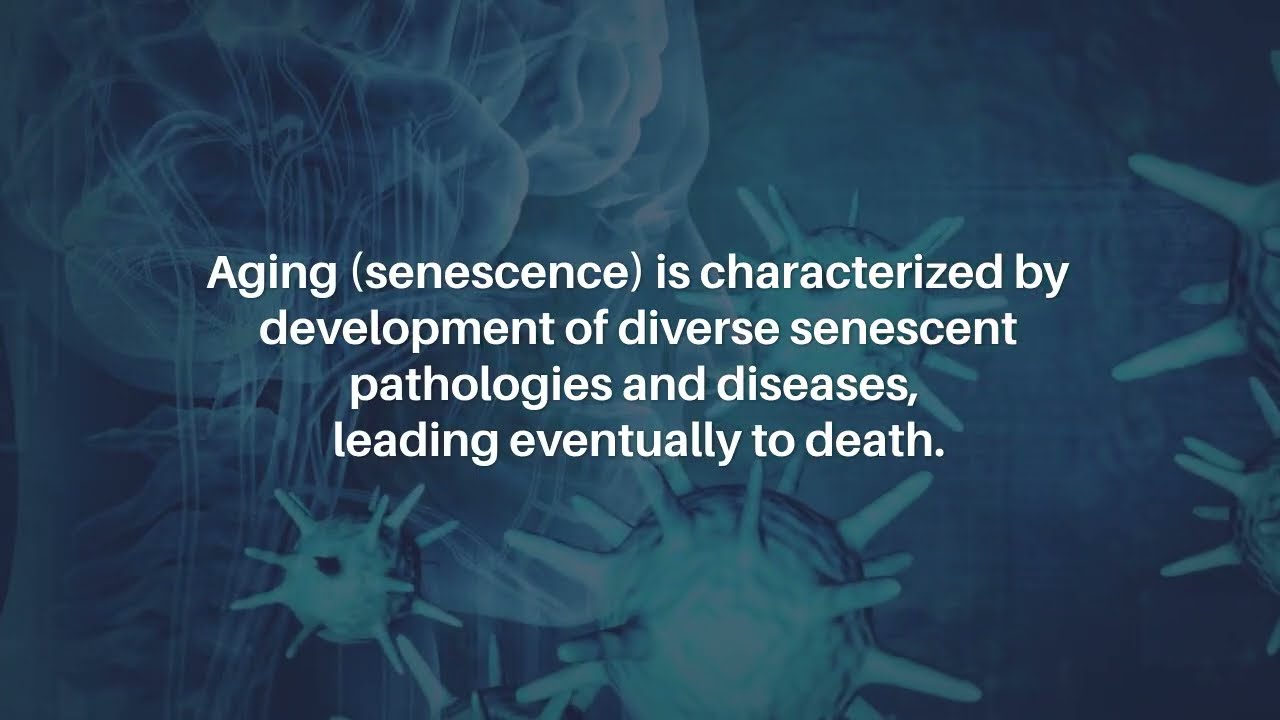 A Two-Stage Model of Aging as a Multifactorial Disorder | Aging-US