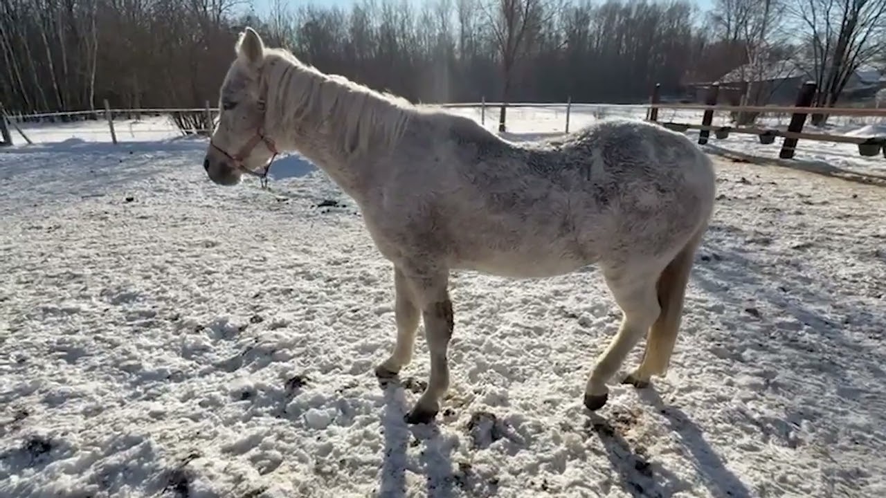 Poznajcie Śniezkę!