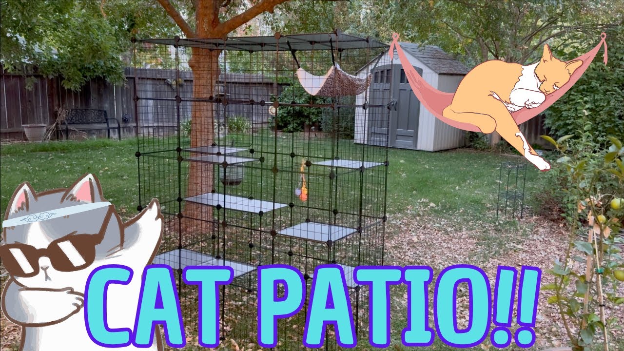 Let your indoor cat enjoy the outdoors with this catio! #amazonhiddengems #amazon #ad #cats #home