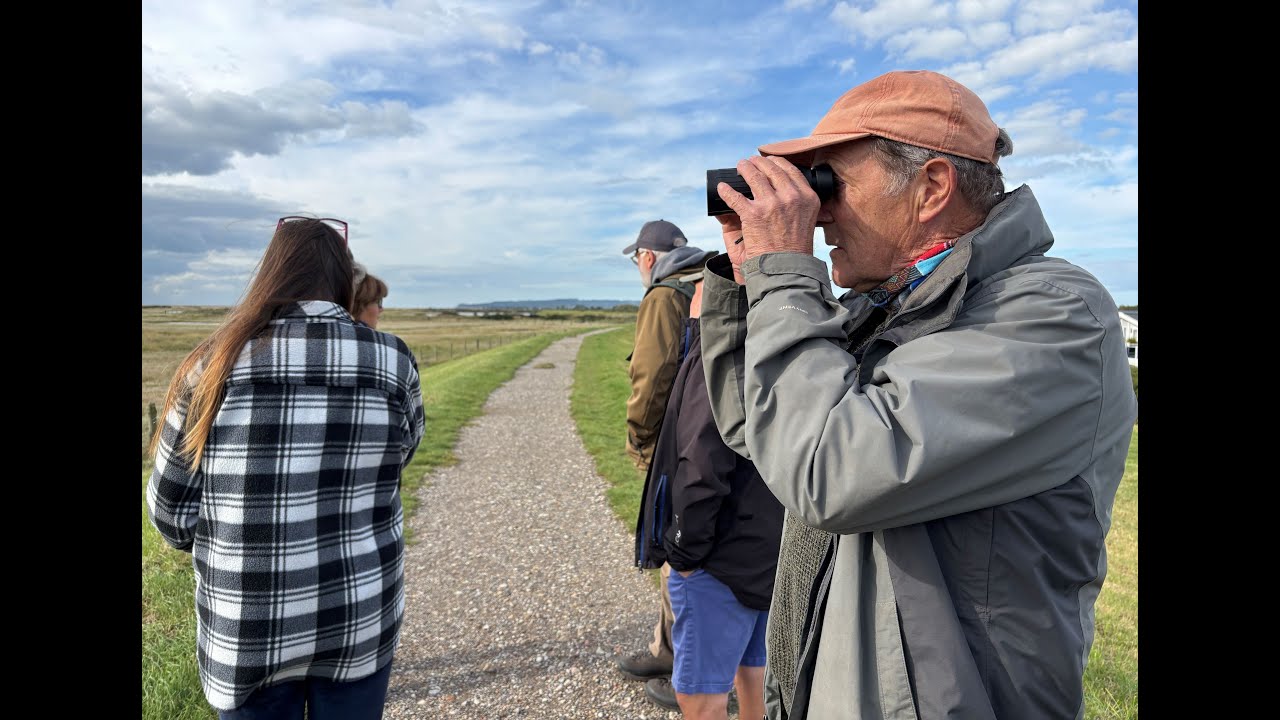 Rye Harbour Nature Reserve wellbeing walk