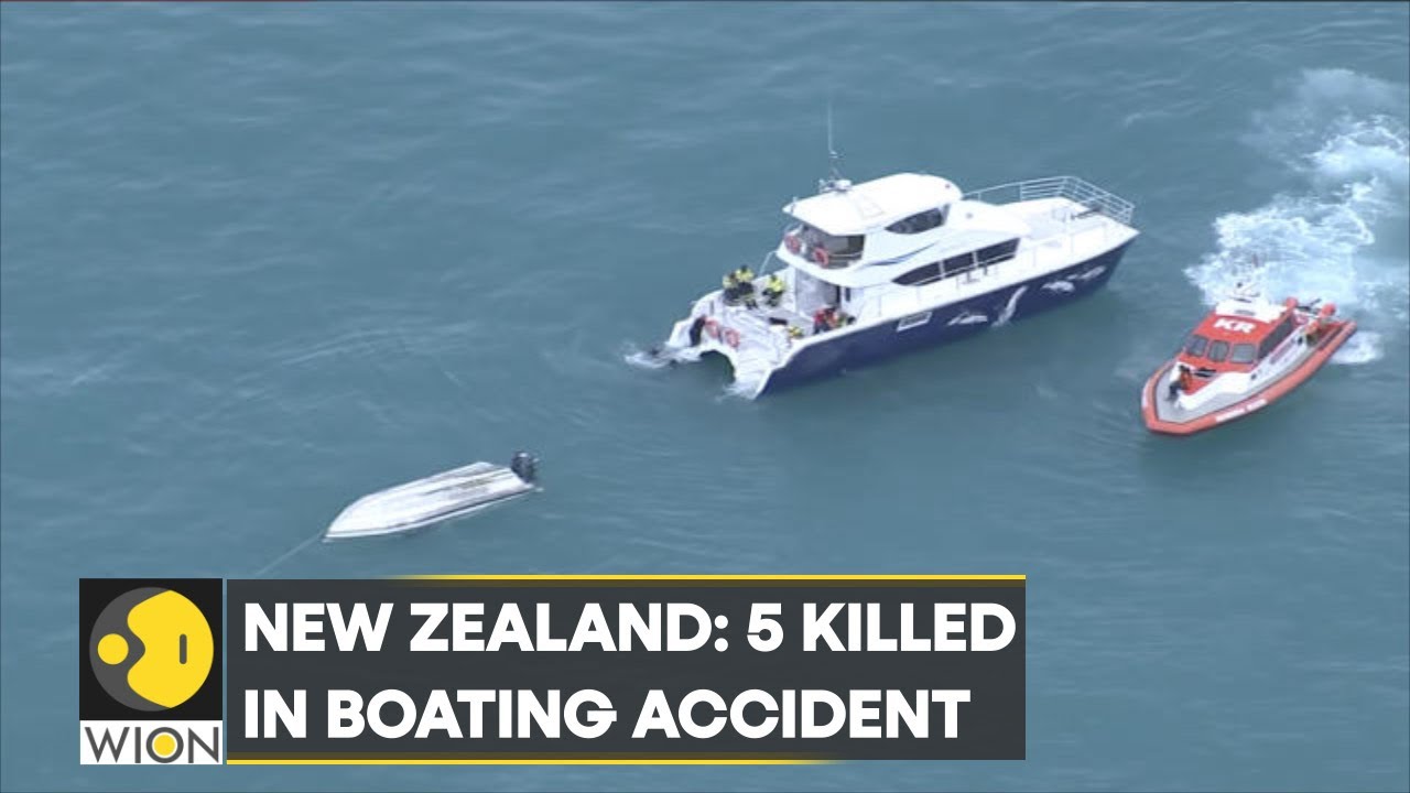 New Zealand: 5 killed in boating accident; possible whale collision capsizes boat | WION