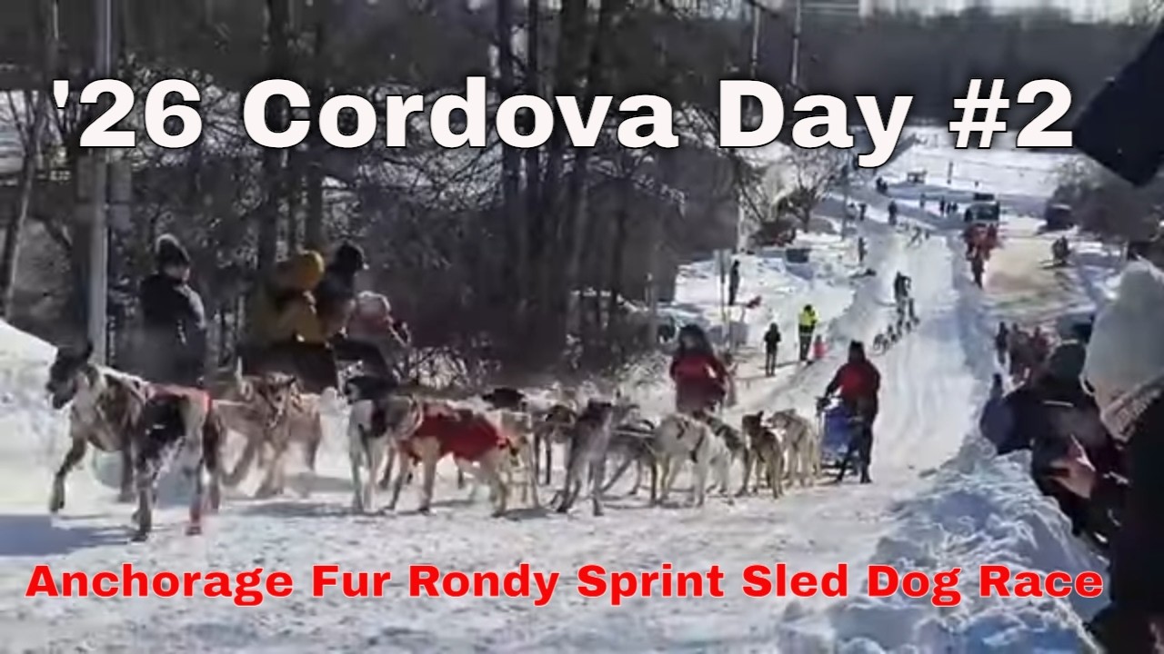 Cordova Hill Day #2 2026 Fur Rondy Sprint Sled Dog Open World Championships Anchorage, Alaska