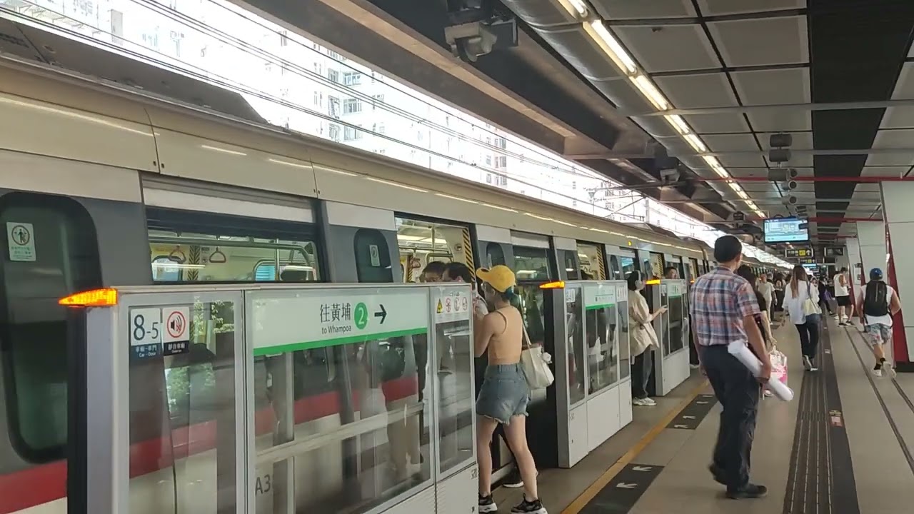 港鐵觀塘綫C-Train (A383/A384) 車序:008 駛入+駛離九龍灣站