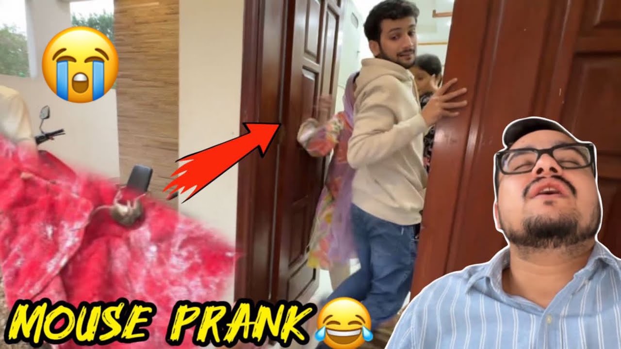 Sab k sath prank karna fail ho gaya😅lala ki wajy sy mouse mar gaya😭🐁bichaara💔