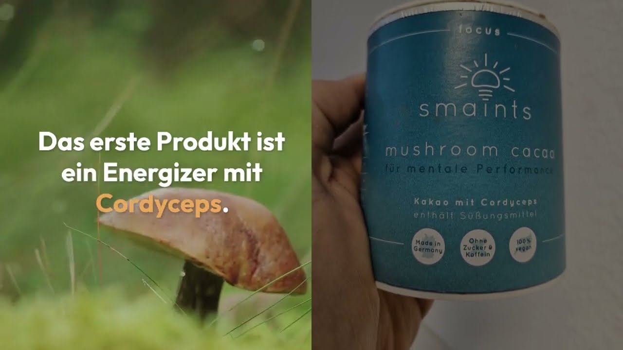 Smaints Test und Review der verschiedenen adaptogenen Vitalpilzgetr&auml;nke Pulver