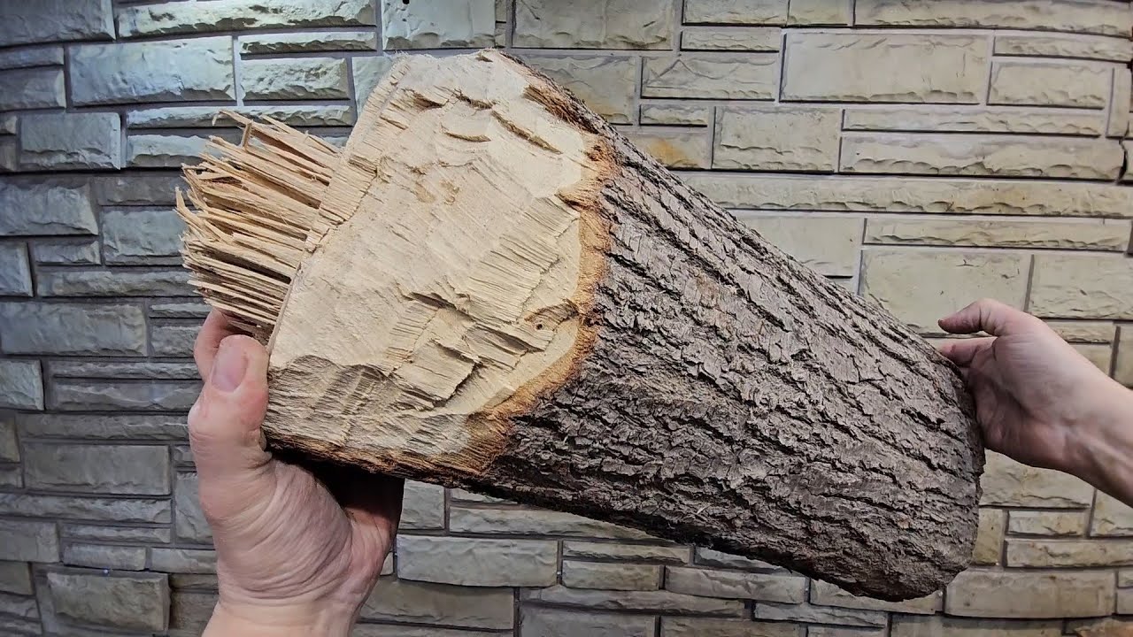 Once you learn this secret, you will never throw away an old log. A brilliant DIY idea