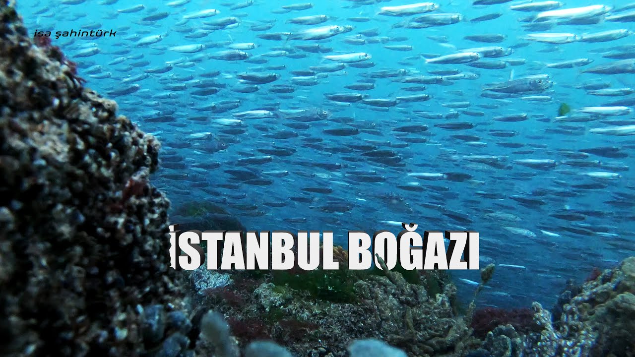 İstanbul Boğazı'na Kamera Yerleştirdim 1  [4K]  Nisan 2021