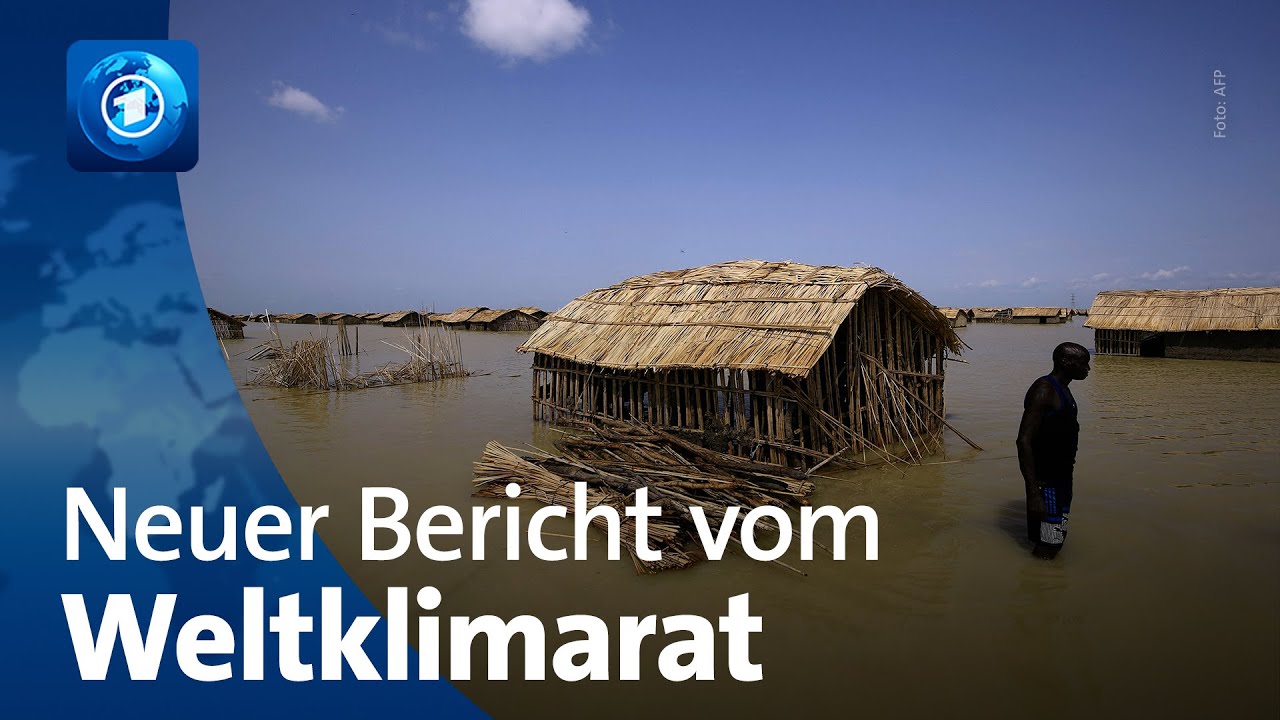 Klimawandel: Neuer Bericht zeigt Gefahr f&uuml;r die Menschheit