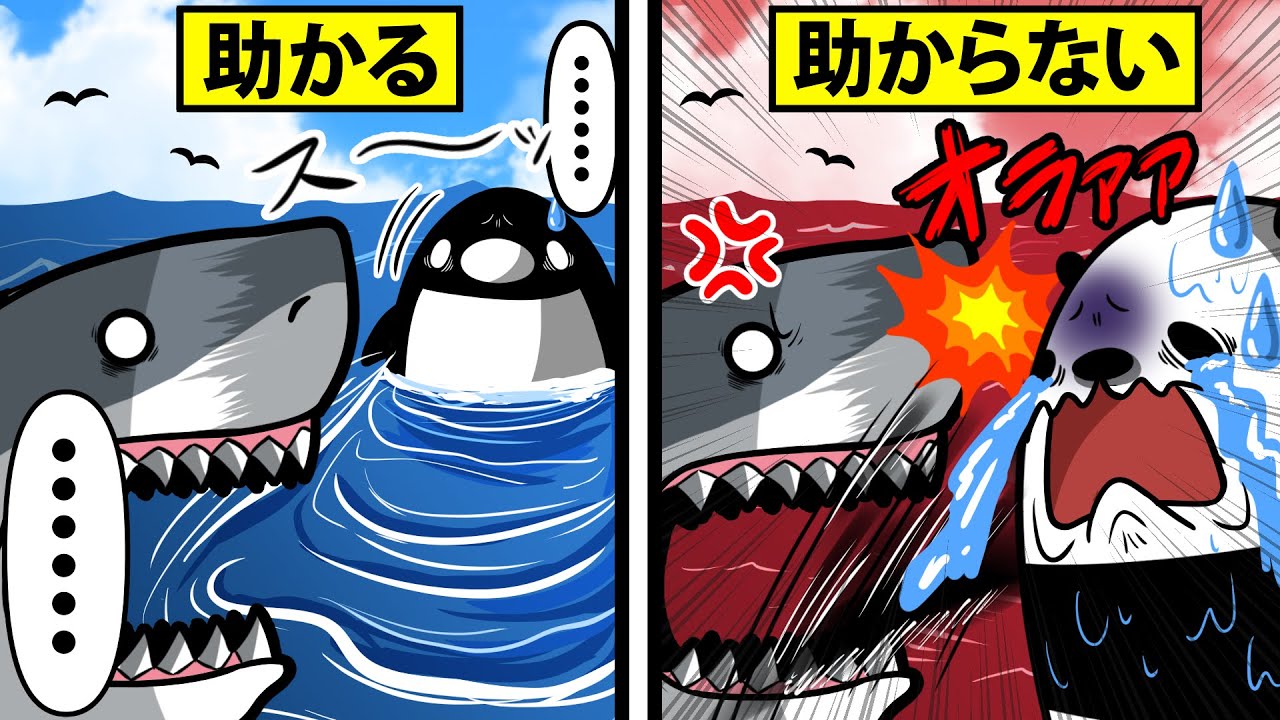 【アニメ】巨大ザメに遭遇したときの対処法