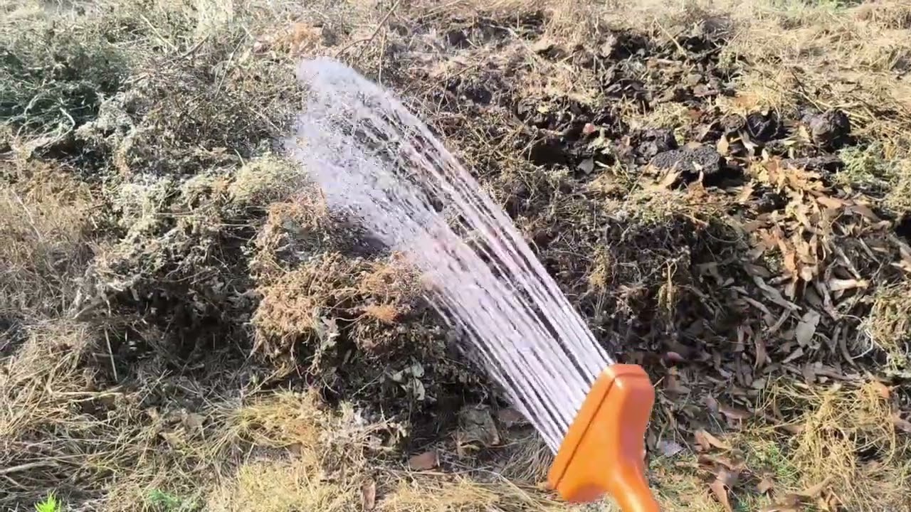 VLOGTOBER Day 4. A look at our compost heap
