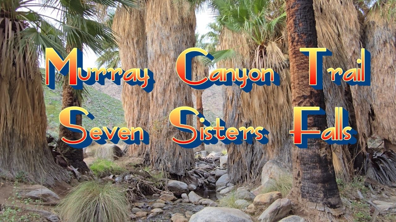 Murray Canyon Seven Sisters Falls, Agua Caliente Indian Canyons