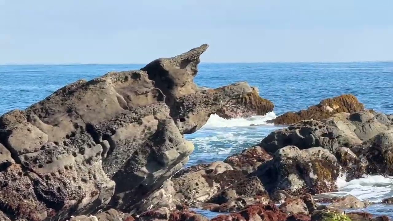 平磯白亜紀層の海岸