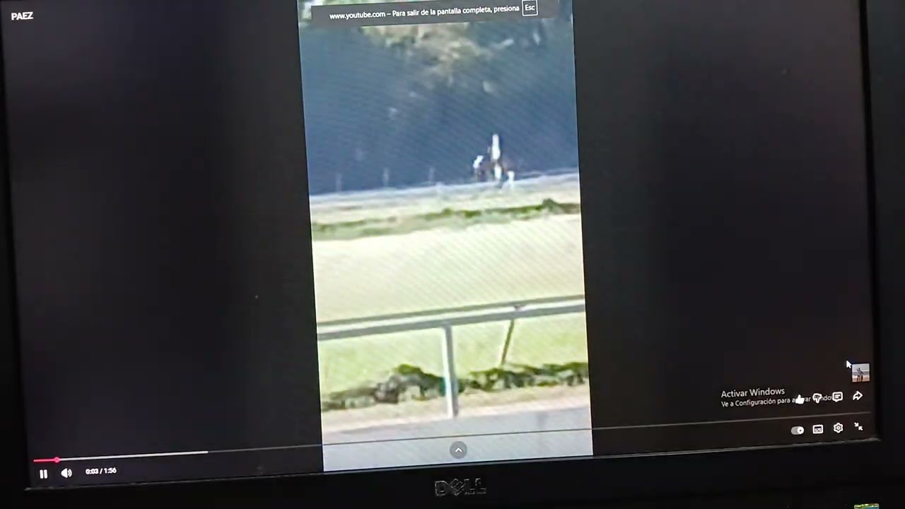 ANALISIS HIPODROMO CAMARERO Y  V. CENTENARIO, 24 DE ENERO 26.