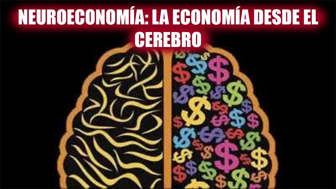 Neuroeconom&iacute;a: La economia desde el cerebro