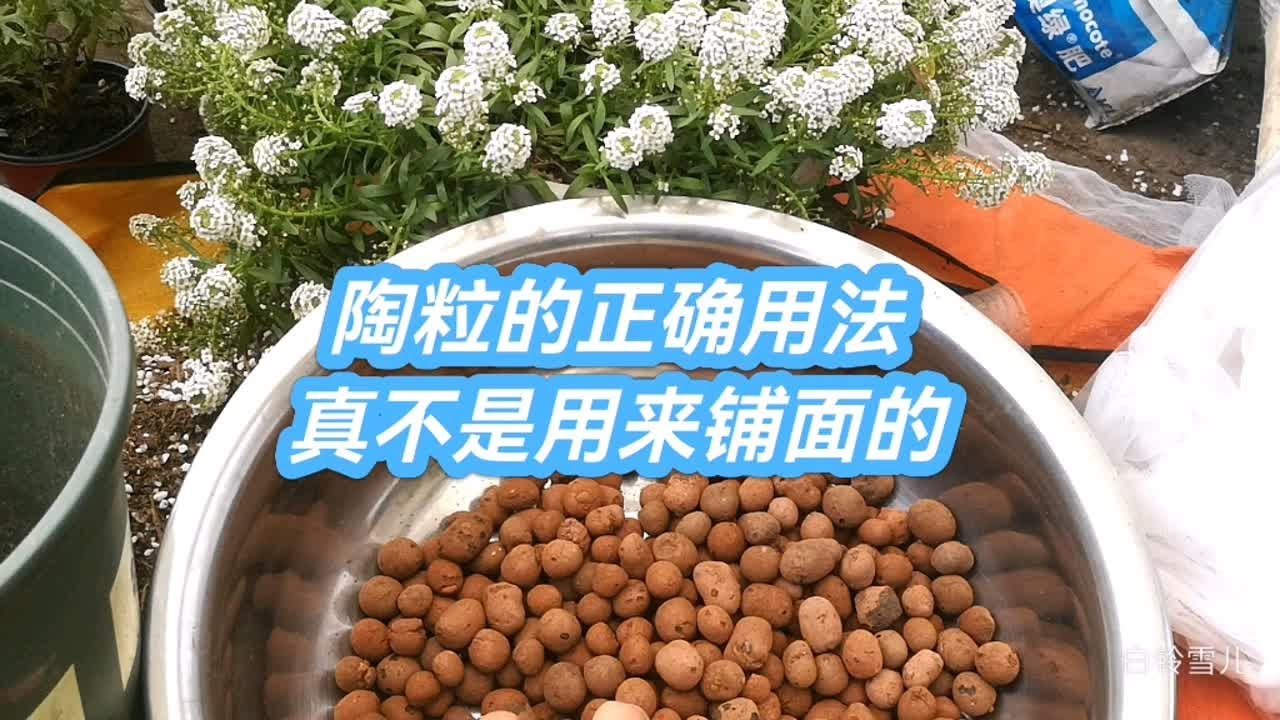 陶粒真不是给花盆铺面的，用法有禁忌别乱用，用错了花儿长不好