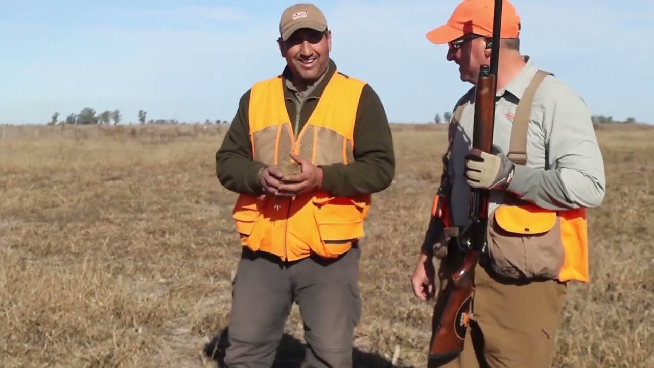 Great Bird Hunting & Great Moments With Pointer Outfitters