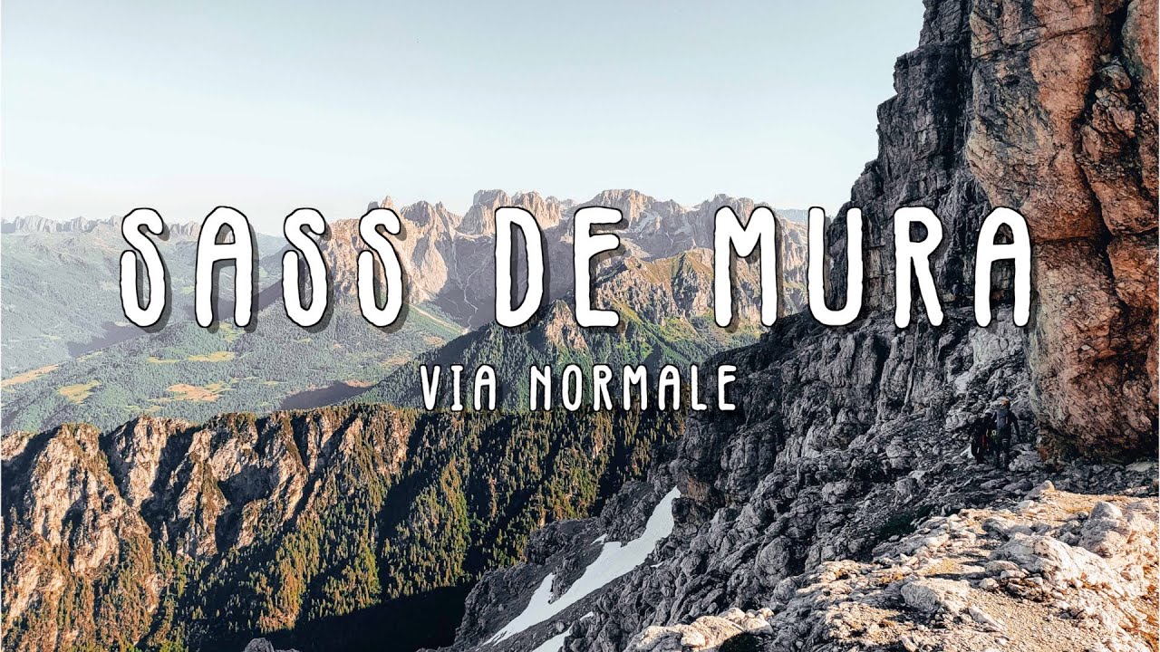 Via NORMALE al SASS de MURA • mt 2522 slm • Vette Feltrine (BL)