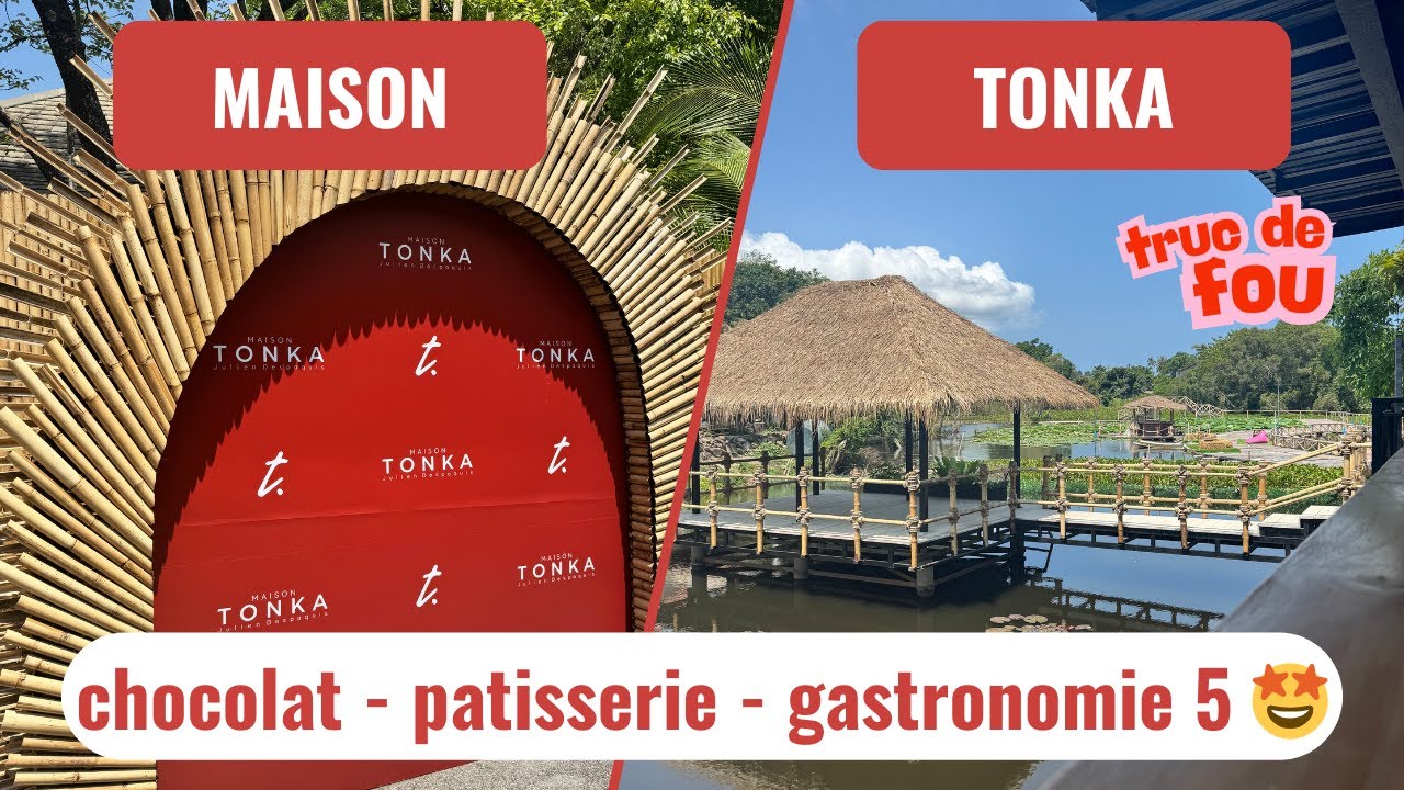 Découvrez Maison Tonka : nouvel établissement INCROYABLE à Koh Samui