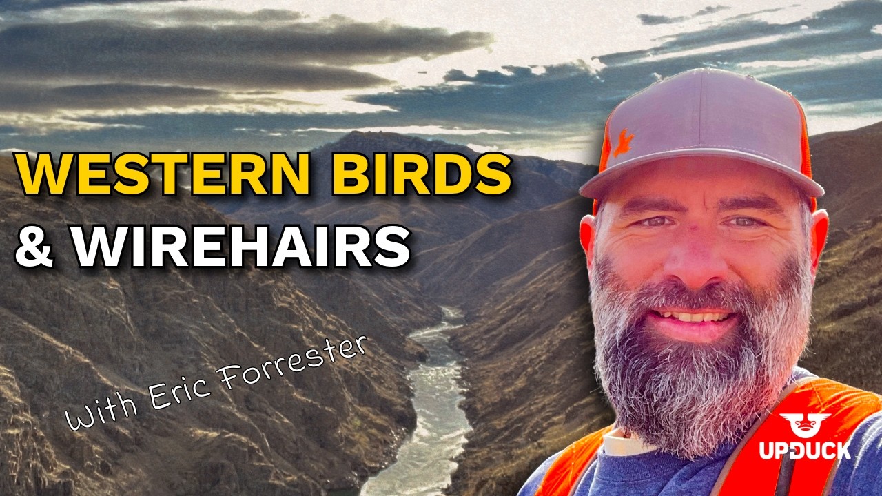 Bird Dogs, Wirehairs & Hunting Out West with Eric Forrester
