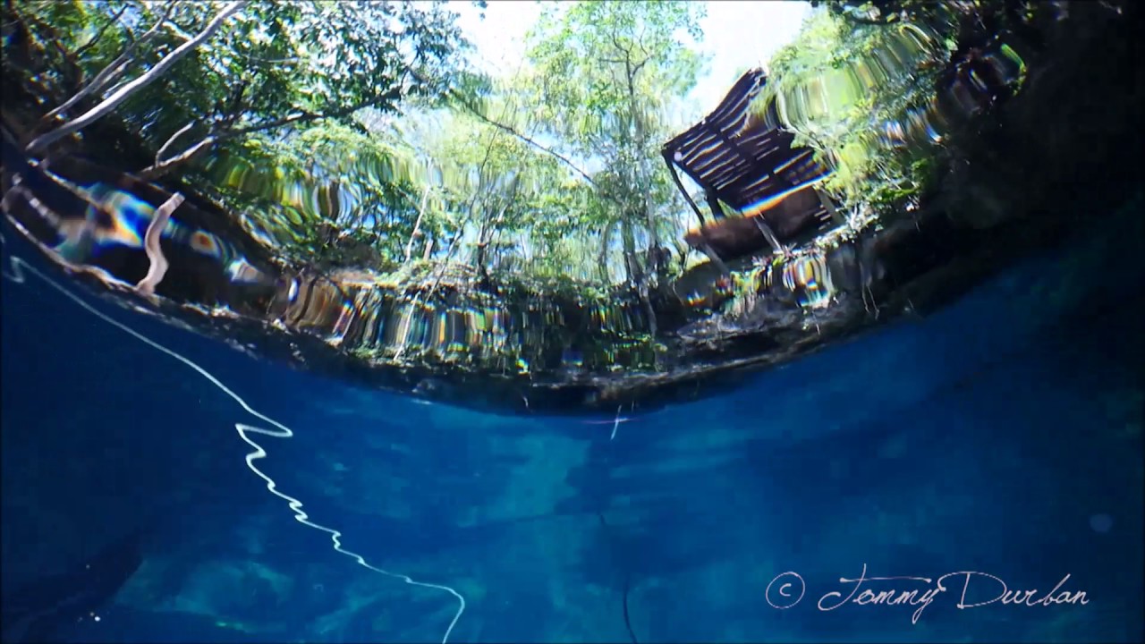 Freediving Cenotes!, Amancay Freediving, Playa del Camen