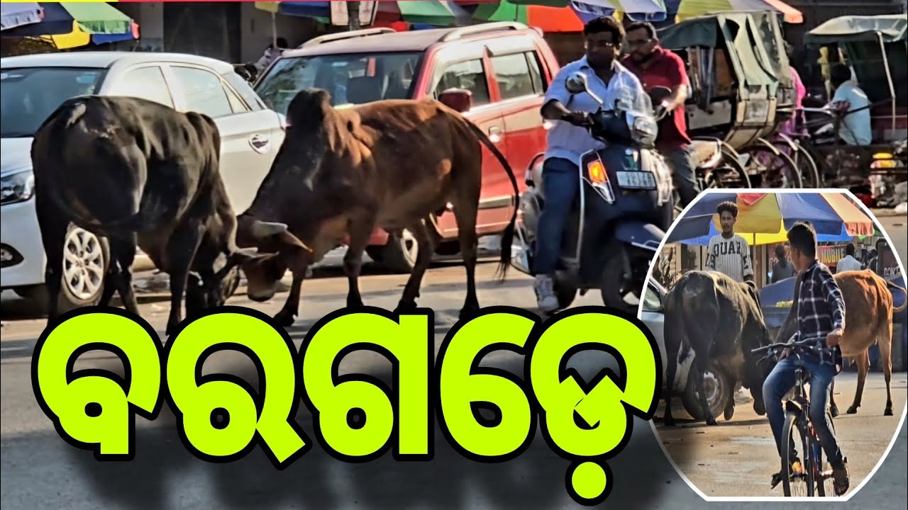 ଆପଣ ବରଗଡ଼ ର ଆନ୍ ବେଳେ ଶେଷକେ କମେଣ୍ଟ ଗୁଟେ କରବେ! #Bargarh #odishanewsexpress