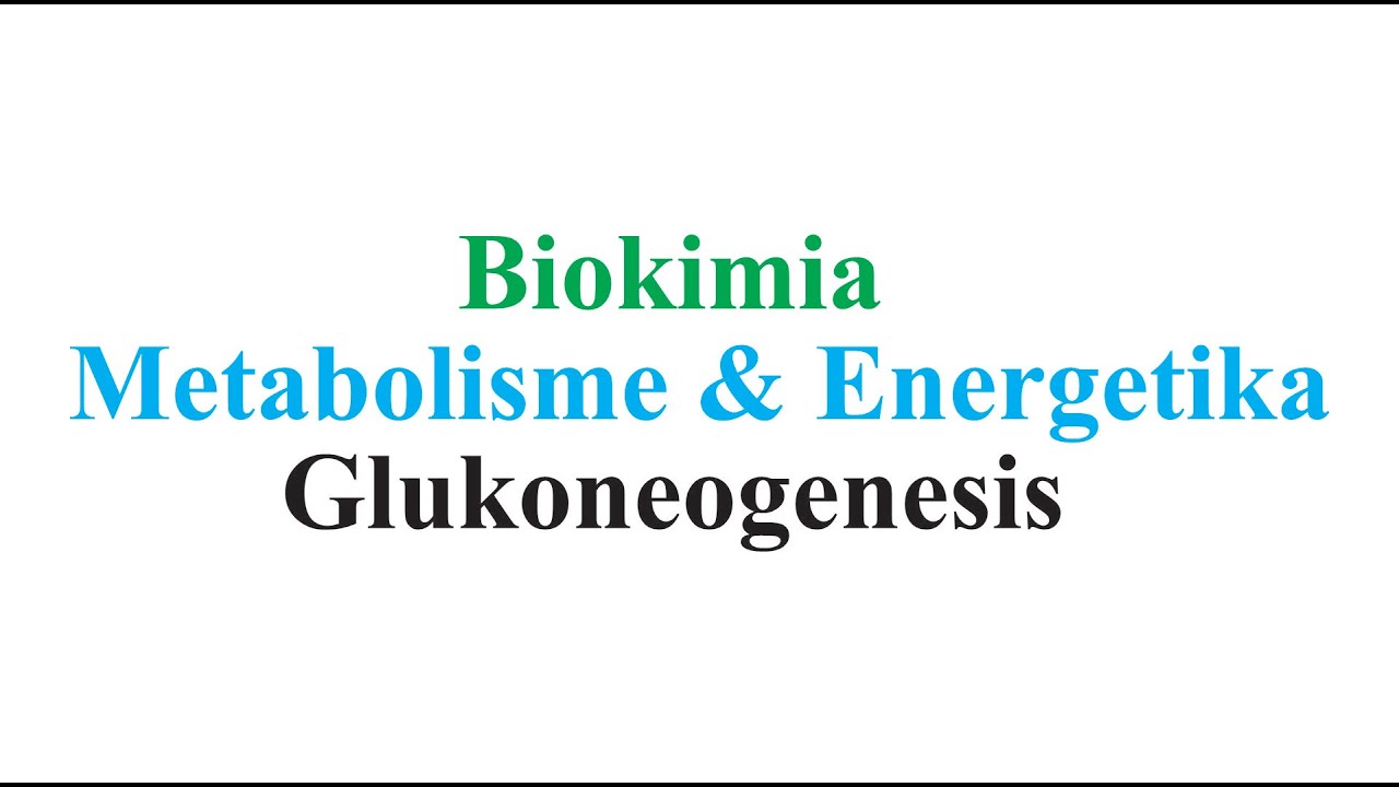 Biokimia - Glukoneogenesis