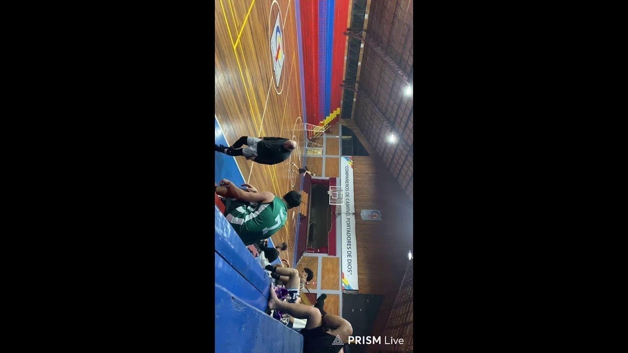 treino
